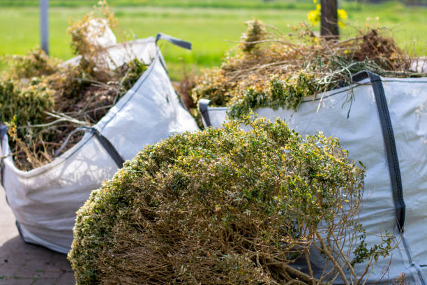 Reliable Fort Morgan, CO Junk Removal Solutions